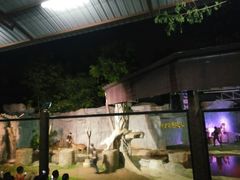 -清迈夜间动物园