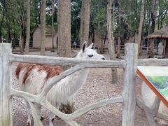 -昆山城市生态森林公园