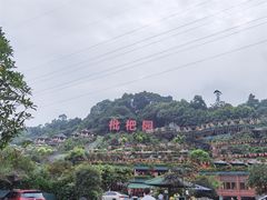 -枇杷园食为鲜火锅(南山店)
