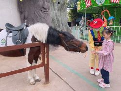 -宝燕乐园(闵行旗舰店)