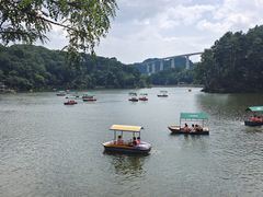 -黔灵山公园