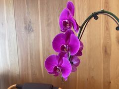 -无味舒食(环岛路店)