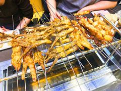 -邢氏老太太烤串(北兴街店)