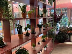 -二酉书店TOYOU BOOKS