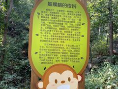 -大岭沟猕猴桃谷风景区