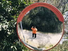 -麓山国际实验学校