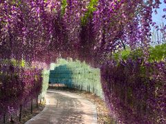 -郑州银基黄帝宫御温泉