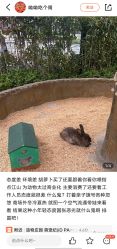 -造物庄园 萌宠纪(苏州湾歌林公园店)