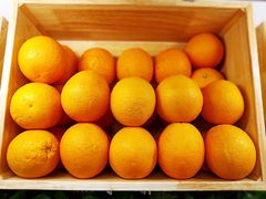 -野萃山·潮汕厚果汁(十亩地店)