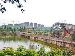 -枫香湖儿童公园