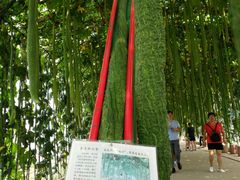 -北戴河集发农业梦想王国