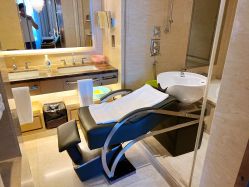 -巍阁高端月子会所