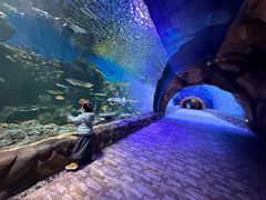 -华夏文旅海洋公园