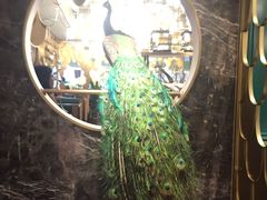 门面-雀蓝川菜(奥体广场店)