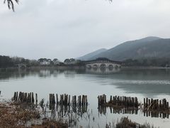 -长广溪湿地公园