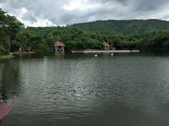 -清迈夜间动物园