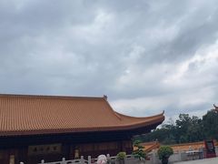 -深圳仙湖植物园
