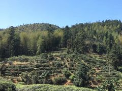 -梁野山景区