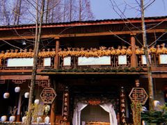 -青城甲(青城山店)