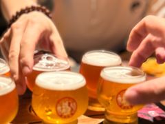 -Boxing Cat Brewery拳击猫精酿啤酒馆(永福店)