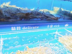 -太湖饭店玉兰厅(自助餐厅)