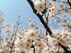 -西北湖绿化广场