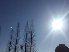 -长寿参鸡汤(朝韩风情街店)
