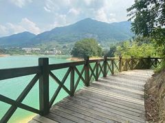 -广州市流溪河国家森林公园