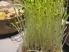 -罗勒家·养生火锅· Bistro(大望路店)
