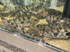 -喜来酌海鲜·饺子(和平一店)