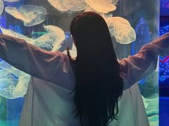 -左海海底世界