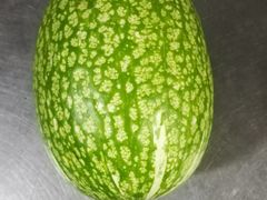 鱼翅瓜-润记农家菜