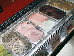 -极拉图·现制冰淇淋(大卫城店)
