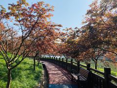 -南山植物园