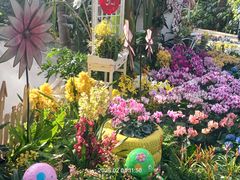 -国家植物园南园