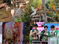 -灵玲国际马戏城
