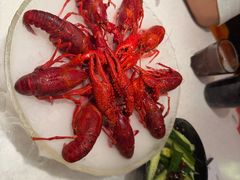 -红盔甲·小龙虾(天钥桥店)