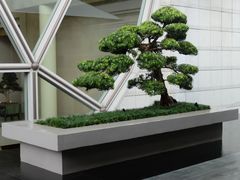 -夏苑(新加坡丽思卡尔顿美年酒店)
