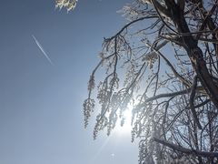 -绿野森林乐园冰雪季