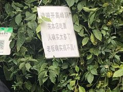 -左撇子私房面