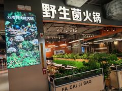 -菌小白·野生菌火锅(时尚天河店)