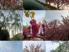 -石家庄市植物园