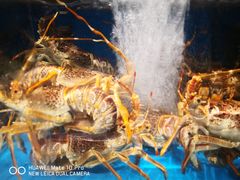 -苏大嘴海鲜牧场(奥林匹克店)
