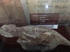 -中国西峡恐龙遗迹园