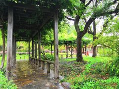 -苏州上方山国家森林公园