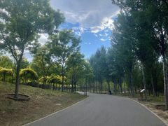 -东郊湿地公园
