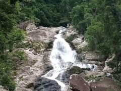 -海南热带雨林国家公园吊罗山景区