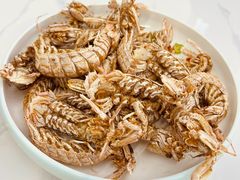 -同心源啤酒屋·青岛菜·海鲜加工