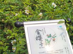 -世间香境·七溪地