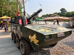 -西双版纳傣族园